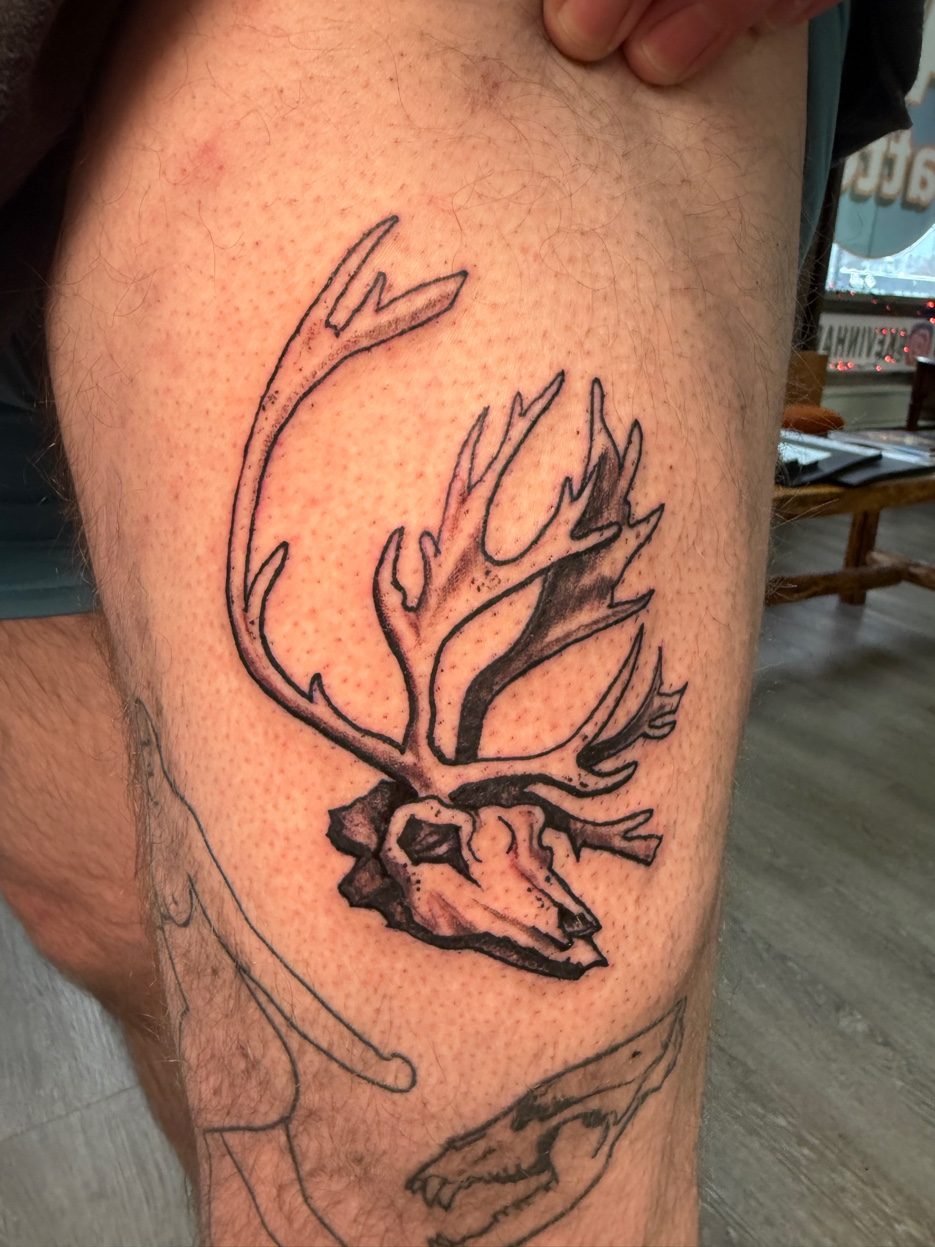 Caribou skull with antlers Alaska wildlife tattoo — Cade Bennett, AK Tattoo Anchorage